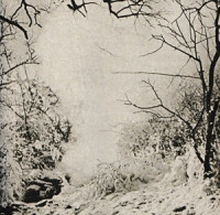 Věda a výzkum 1959: Boreč dýmající vrch v Českém středohoří